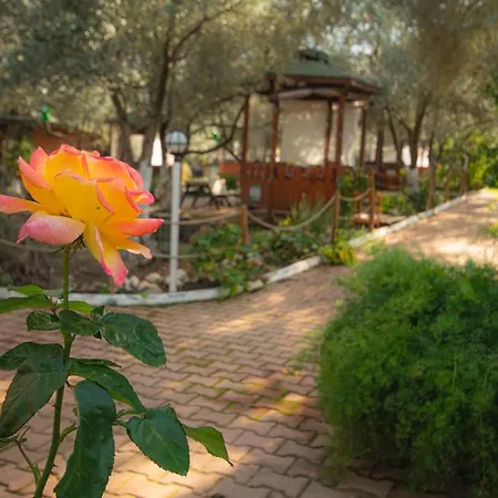 Bed & Breakfast Alpstar & Restaurant Geyikbayiri