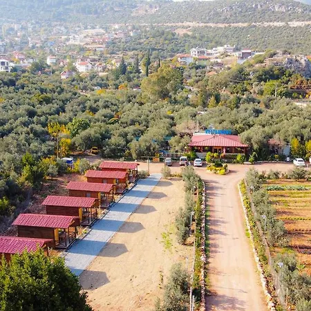 Alpstar & Restaurant * Geyikbayiri