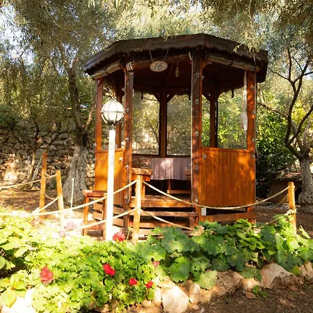 Alpstar & Restaurant Bed & Breakfast *