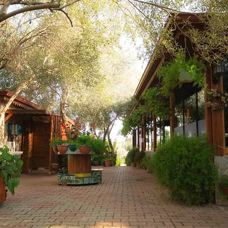 Bed & Breakfast Alpstar & Restaurant Geyikbayiri
