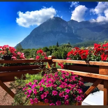 Alpstar & Restaurant Bed & Breakfast